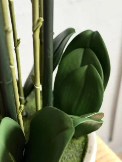 Orkidé i Potte 105 cm - Hvid