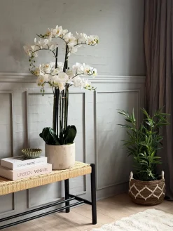 Orkidé i Potte 105 cm - Hvid