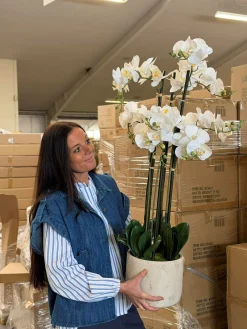 Orkidé i Potte 105 cm - Hvid