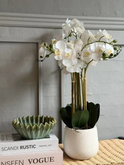 Orkidé i Potte 65 cm - Hvid