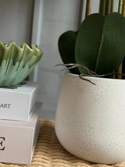 Orkidé i Potte 65 cm - Hvid