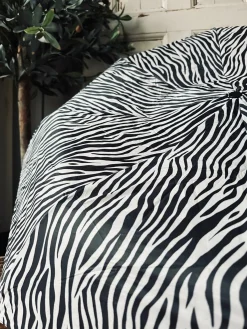 Paraply – Zebra