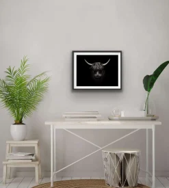 Plakat - Tyr 50x50 cm