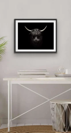 Plakat - Tyr 50x50 cm