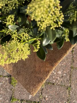 Plantebeskyttelse Kokos - Sæt med 3 stk