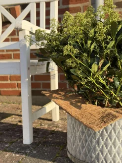 Plantebeskyttelse Kokos - Sæt med 3 stk