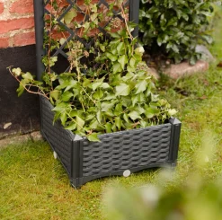 Plantekasse med espalier