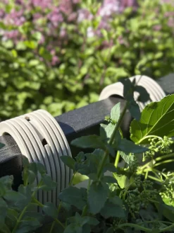 Plantekasse med ophæng – Creme