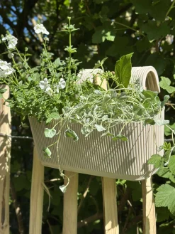 Plantekasse med ophæng – Creme