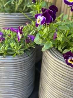 Plantekurv Grå - Sæt af 3 stk.