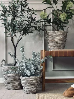 Plantekurve – Sæt med 3 størrelser