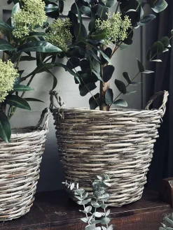 Plantekurve – Sæt med 3 størrelser