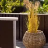 Plantekurve i natur rattan - 2 stk
