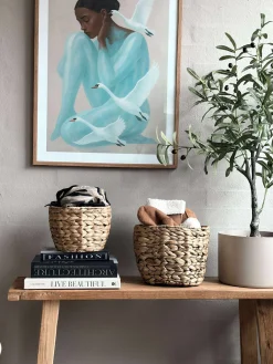 Plantekurve i vandhyacint - Sæt med 2stk.