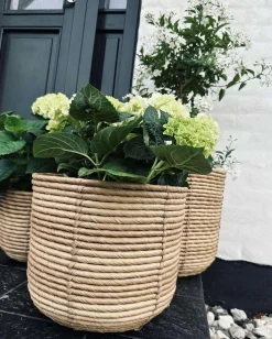 Plantekurve RATTAN BIG - Sæt med 3 størrelser