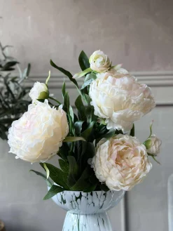 Pæon 60 cm - Flere farver