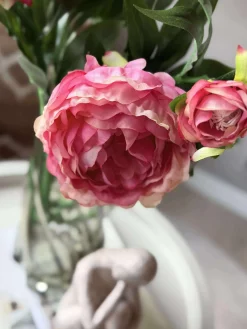 Pæon 60 cm - Flere farver