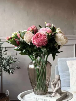 Pæon 60 cm - Flere farver