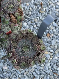 Potte med riller og ophæng - Grå