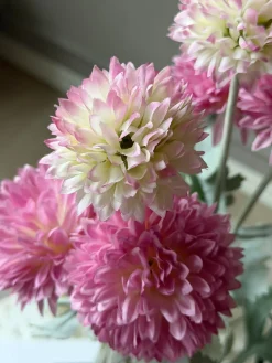 Prydløg stilk 60 cm - Rosa