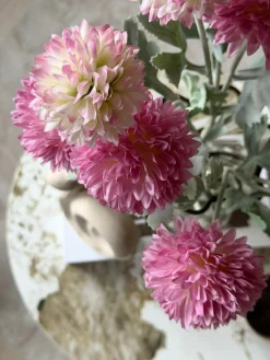 Prydløg stilk 60 cm - Rosa