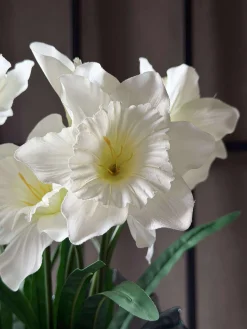 Påskelilje stilk - Hvid