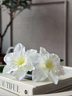 Påskelilje stilk - Hvid