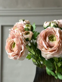 Ranunkel 50cm - Rosa