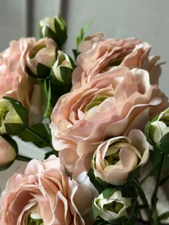 Ranunkel 50cm - Rosa