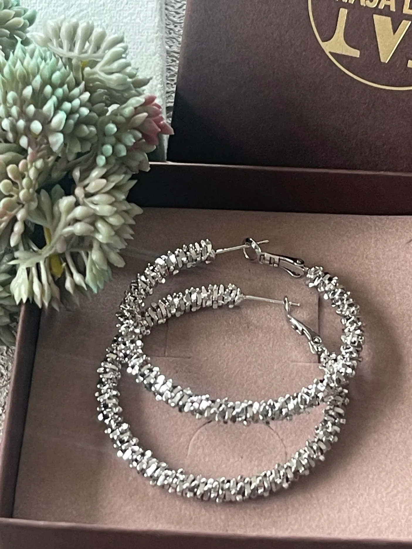 Øreringe INA Hoops Large - sølvbelagt