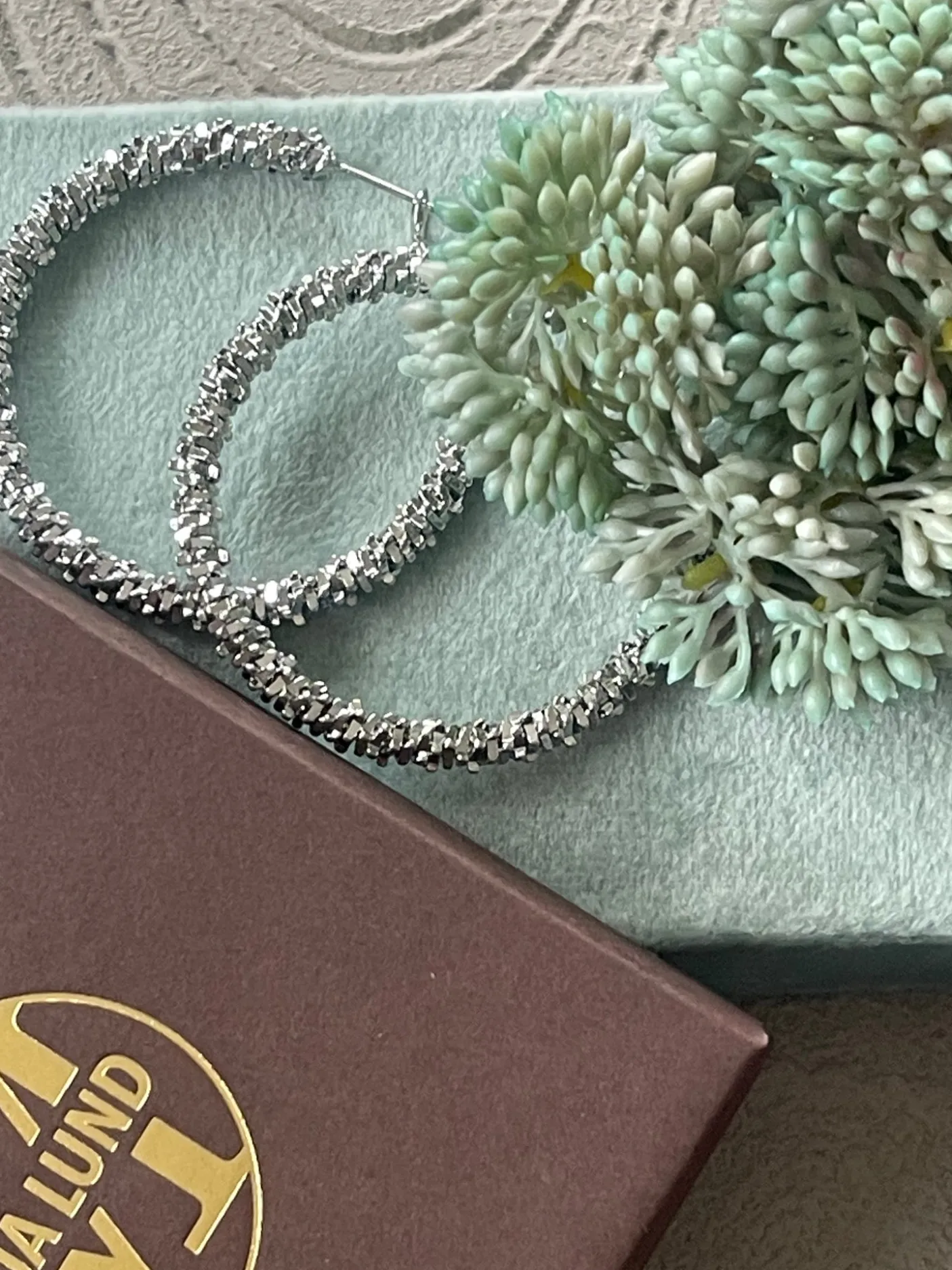 Øreringe INA Hoops Large - sølvbelagt