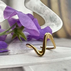 Ring Ida – Vandfast