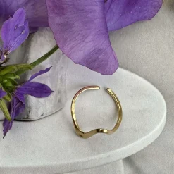 Ring Ida – Vandfast