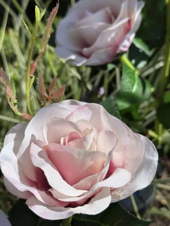 Rose med solceller - Rosa