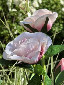 Rose med solceller - Rosa