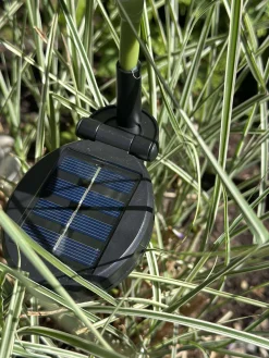 Rose med solceller - Rosa