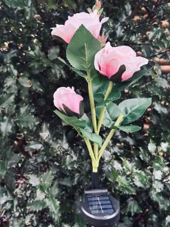 Rose med solceller - Rosa