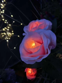 Rose med solceller - Rosa