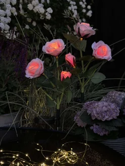 Rose med solceller - Rosa