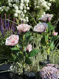 Rose med solceller - Rosa