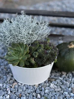 Rund skjuler med riller