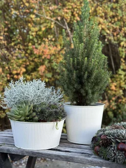 Rund skjuler med riller