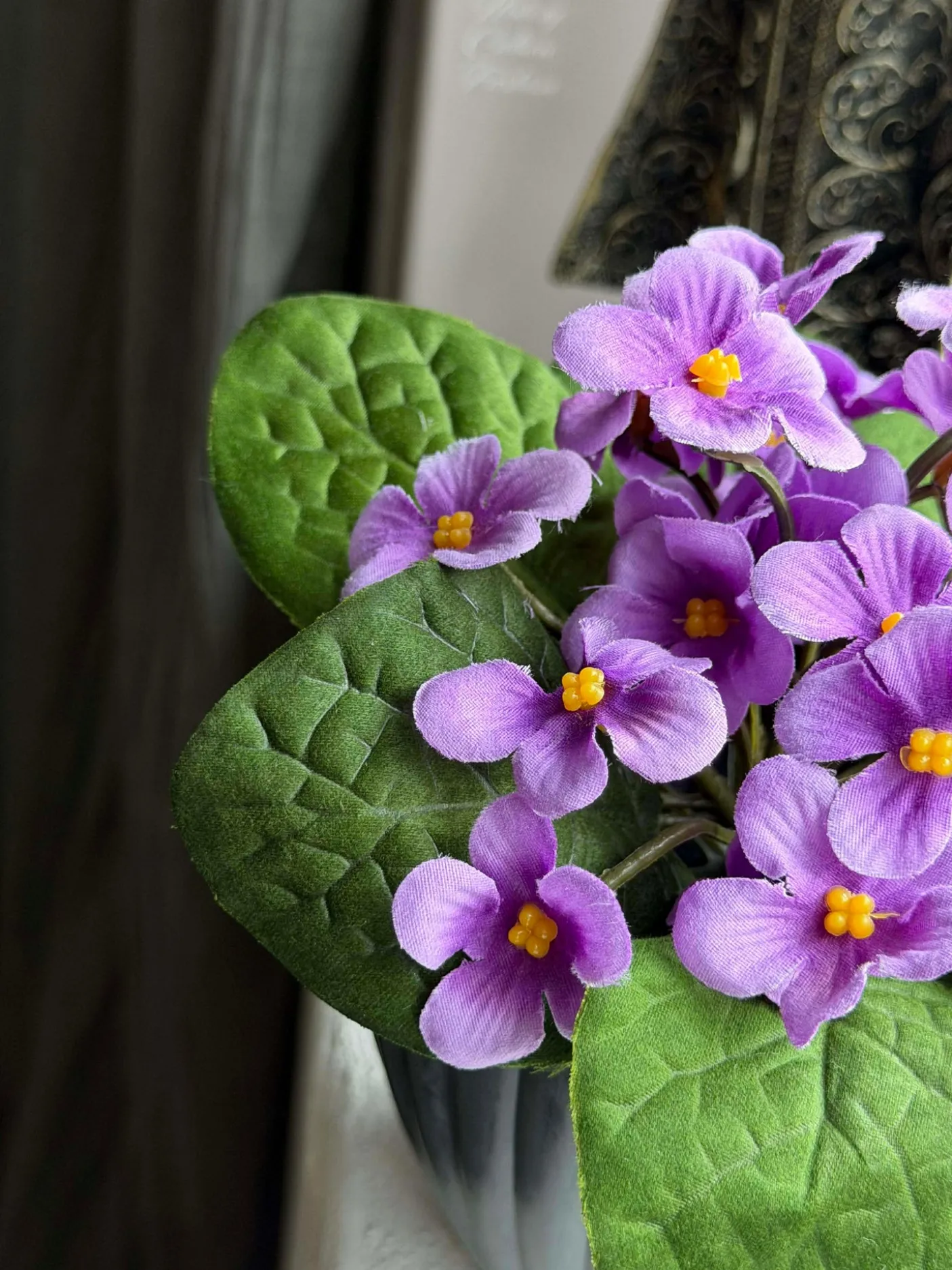 Saintpaulia i potte - flere farver