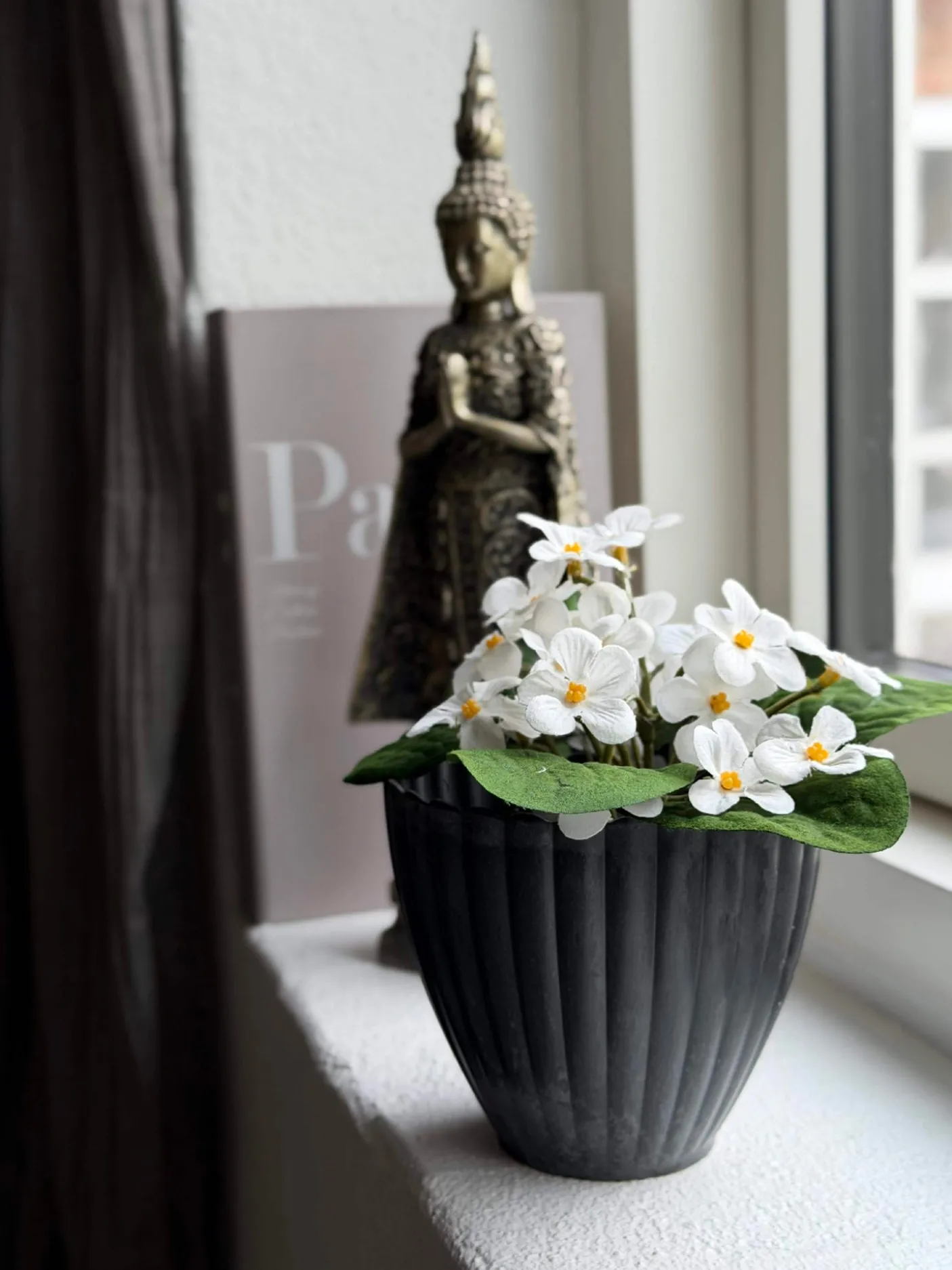 Saintpaulia i potte - flere farver