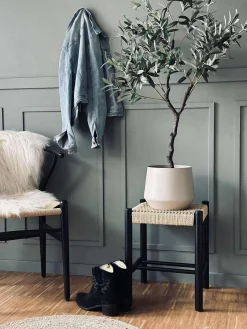 Skammel Bøg natur / sort