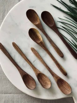 Skeer Akacia - 6 stk