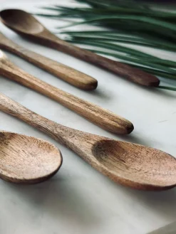 Skeer Akacia - 6 stk