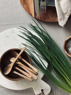 Skeer Akacia - 6 stk