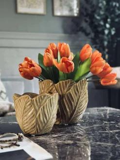 Skjuler Gylden - Flere størrelser