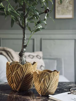 Skjuler Gylden - Flere størrelser